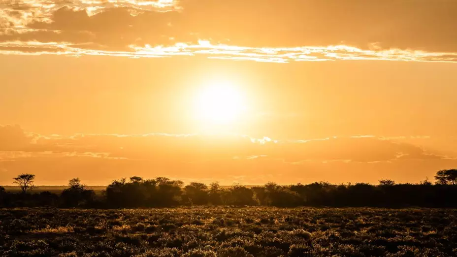 Tercera OLA DE CALOR en México azotará a estos estados