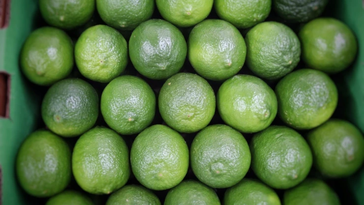 inflacion-mexico-mayo-2023-inegi