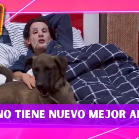 La Granja VIP