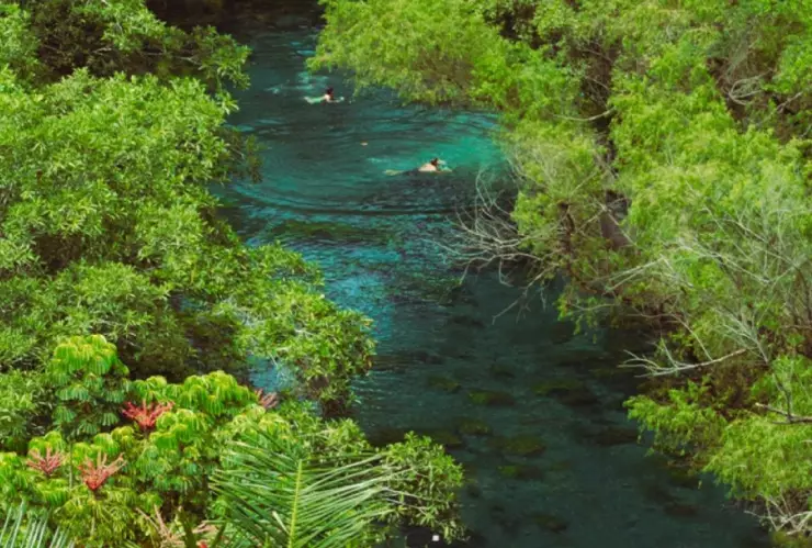 Actividades en Las Estacas de Morelos