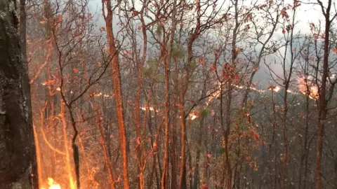 Arde cerro La Joyita en Agostitlán (3).jpeg