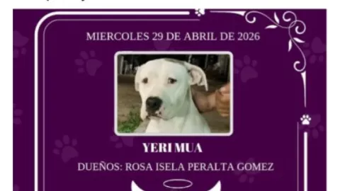 Yeri Mua