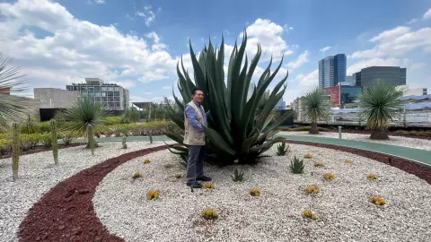 Jerónimo Reyes, especialista en botánica en azotea verde infonavit