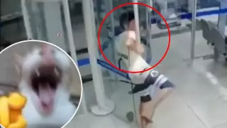 robo fallido de banco