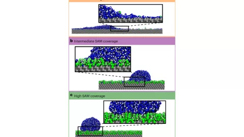 La capa hidrofóbica más resistente del mundo.