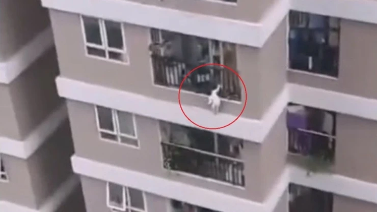 mensajero niña piso 12.jpg
