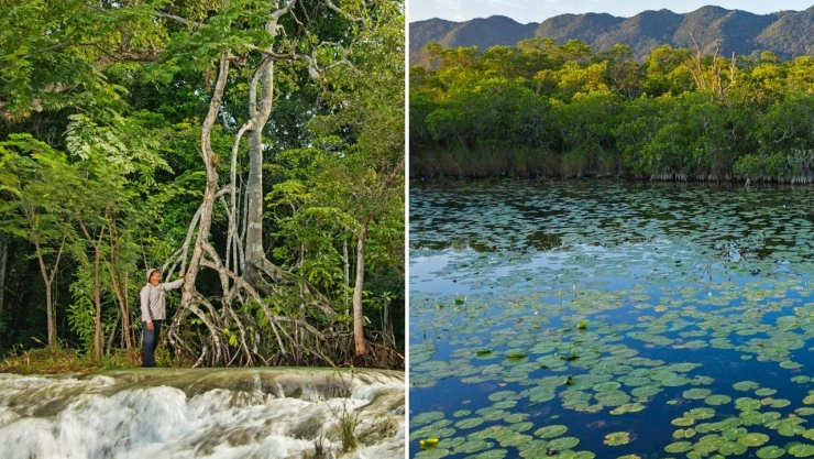 manglares_peninsula_de_yucatan