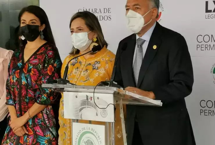 Xóchitl Gálvez.jpeg