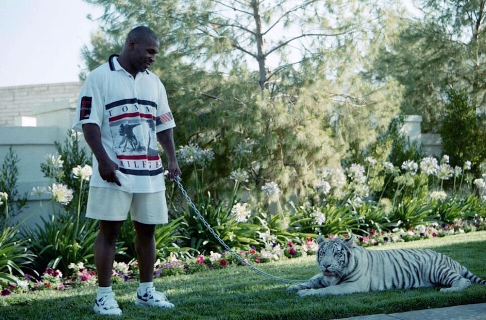 Mike Tyson y sus exóticos Tigres