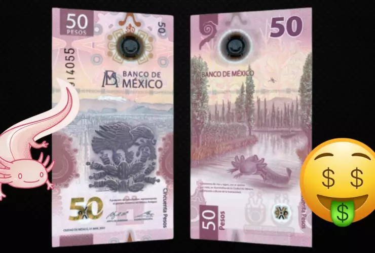 Billete de Ajolote se vende en un millón de pesos; este es su valor real