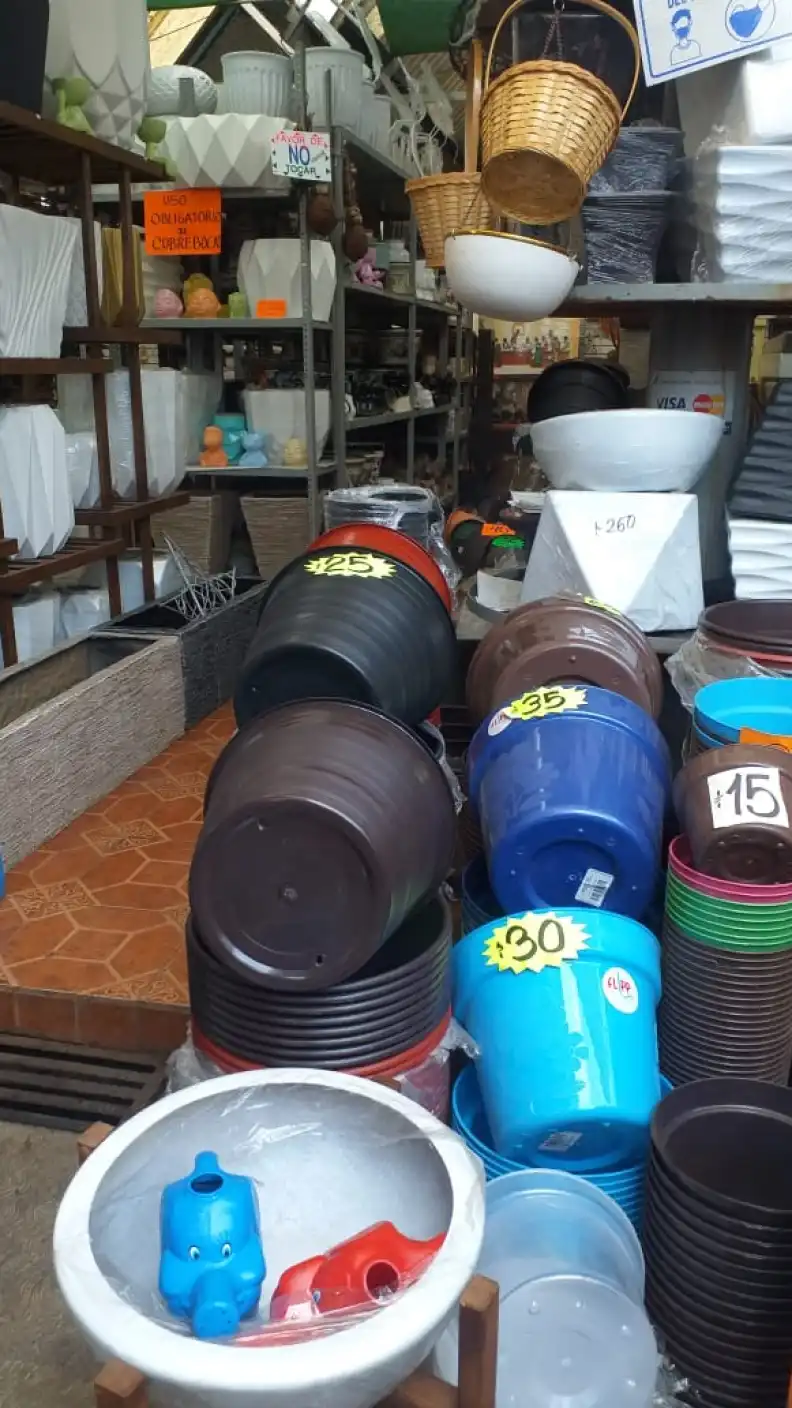 En estos mercados de flores puedes comprar nochebuenas en la CDMX