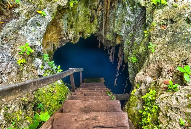 Cenotes en Quintana Roo: Maravillas ocultas en la Riviera Maya