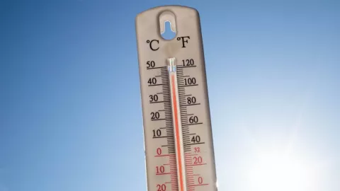 Olas de calor en Baja California 2024