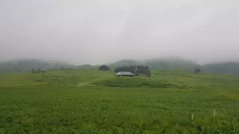 San Juanito Chihuahua