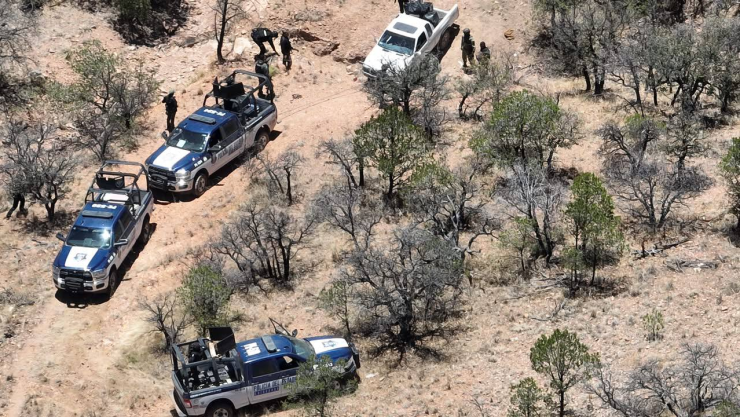Decomisan 89 kilos de marihuana en brecha de Cusihuiriachi