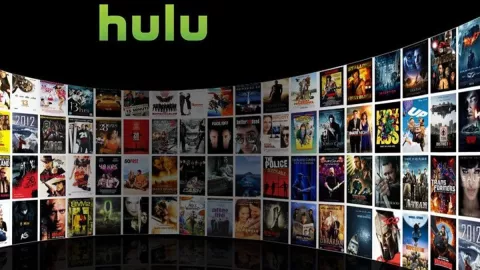 Hulu streaming.jpg