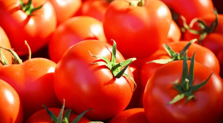 Tomate rojo