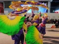 ano-nuevo-chino-hong-kong