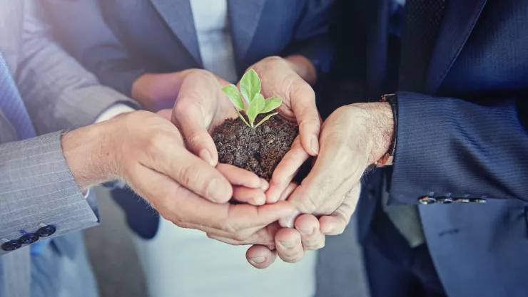 ¿Qué signos tienen más valores y principios?