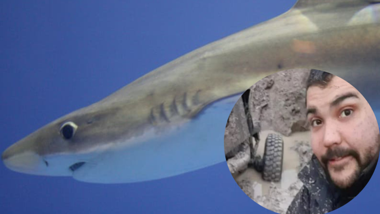 Encuentran restos de hombre en Tiburón