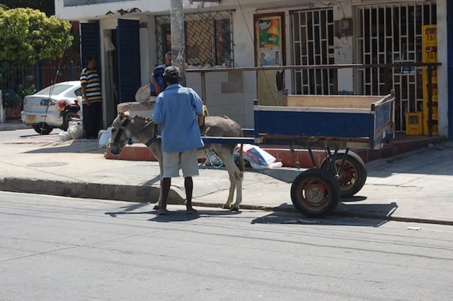 Ya no se podrán utilizar burros o caballos para jalar carretas en Neza