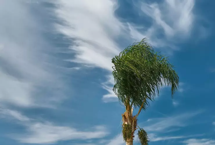 Protección Civil advierte por vientos Santa Ana en Tijuana esta semana ¿cuándo llegan