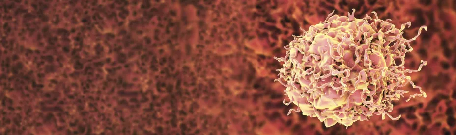 unnamed - 2026-03-04T142013.710.jpg