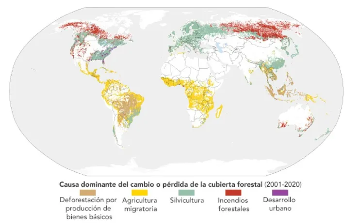bosques