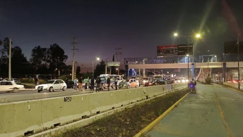 atropellado periférico ecológico