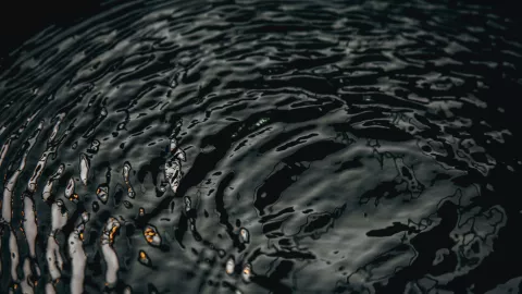 Loco Police caso Ciudad Juárez.jpg