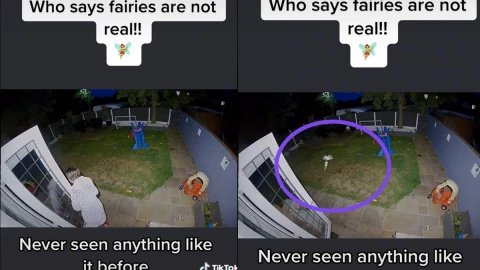 Captan a hada sobrevolando en jardín.