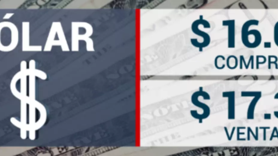 31_5_24_dolar.png