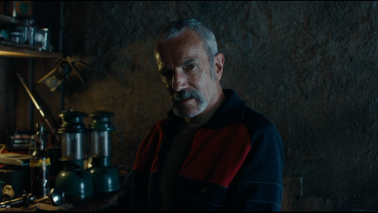 Daniel Day-Lewis Anemone