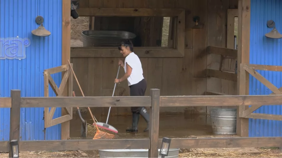 alfredo-adame-la-granja-vip