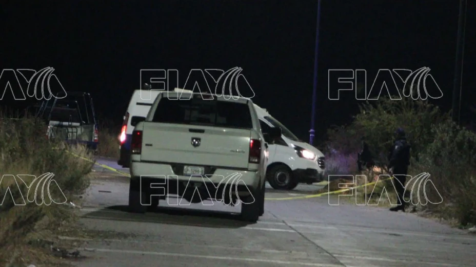 perro muerde cráneo Brisas del Campestre León