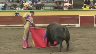 Tauromaquia Otro atentado contra la libertad