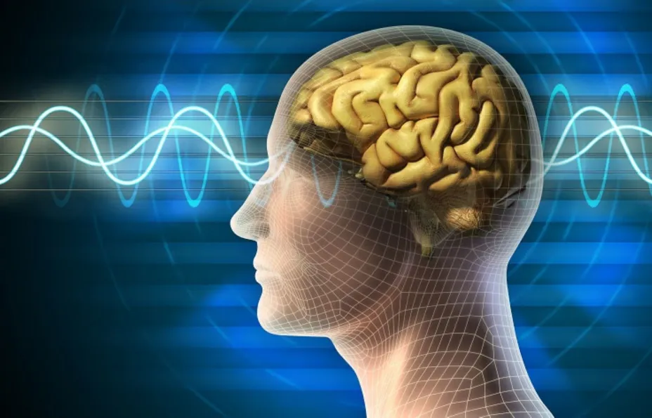 Cerebro Flow unnamed.jpg