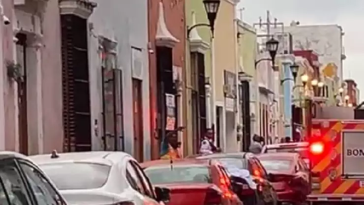 Enjambre de ABEJAS ataca a trabajadores en el centro; una persona resultó hospitalizada