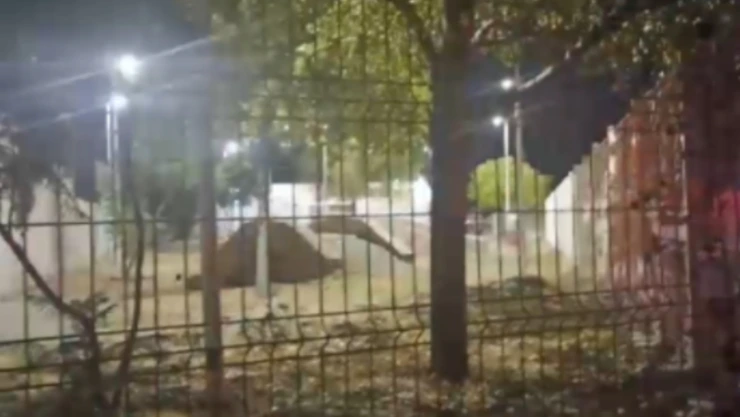 Zacatecas partido de futbol rapido multihomicidio