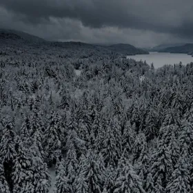 Invierno en Estados Unidos: ¿Cómo afectará el fenómeno de “súper El Niño” al clima?