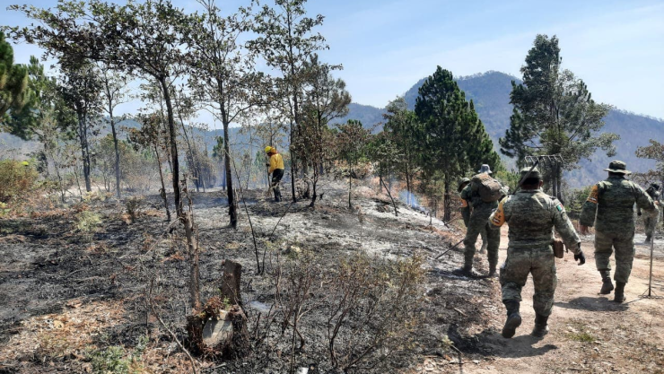 Sofocado incendio forestal en Ciudad Hidalgo (1).jpg