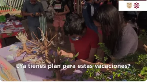 verano 2022 cursos gratis cdmx