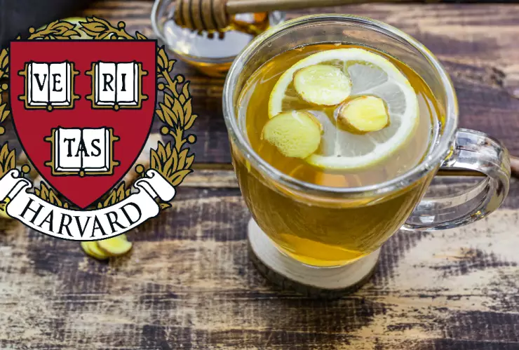 Estos son los mejores tés de acuerdo con la Universidad de Harvard