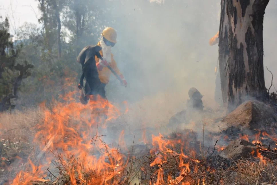 conafor incendios forestales