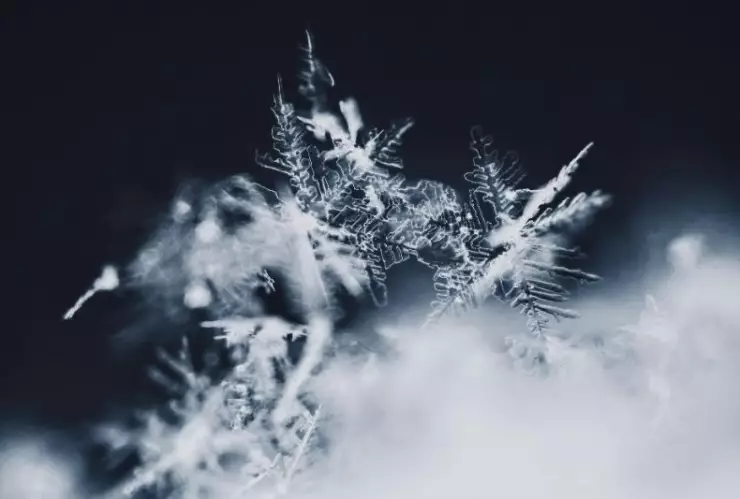 SMN pronostica amenaza de lluvia engelante y temperaturas bajo cero en Zacatecas: ¿qué es y cómo afecta este fenómeno?