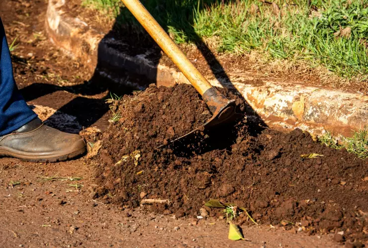 Tierra de Sommières: ¿Qué es y por qué es recomendado por los científicos?