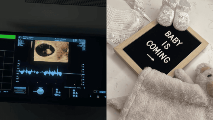 Influencer mexicana anuncia la pérdida de su bebé.png