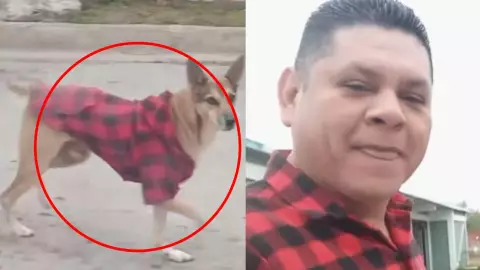 hombre y perro tienen el mismo outfit