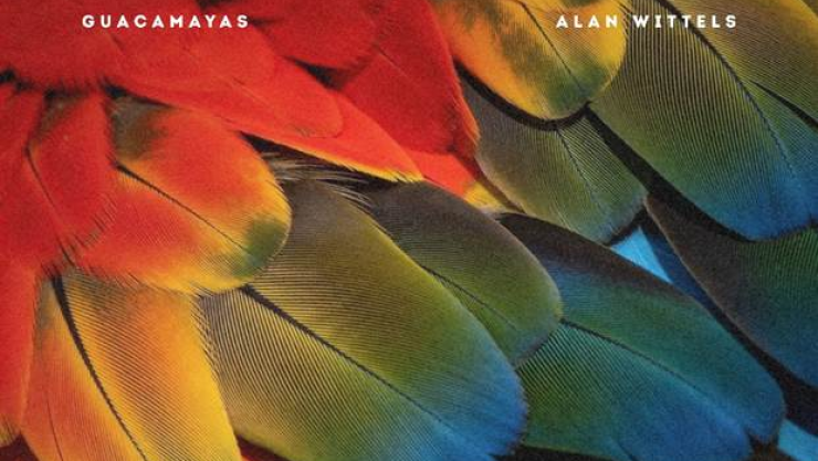 alan wittels