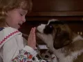 ¿Qué pasó con la actriz Sarah Rose Karr? La recordarás por el personaje de Emily Newton en Beethoven, entérate dónde está ahora.